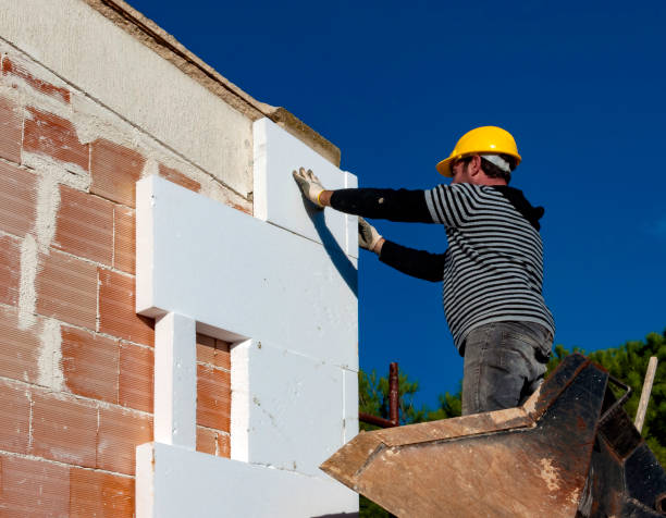 Best Specialized Insulation Services in Chamberlayne, VA