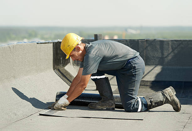 Best Residential Insulation in Chamberlayne, VA