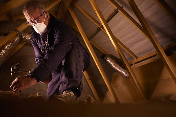 Best Geographic-Specific Insulation Services in Chamberlayne, VA
