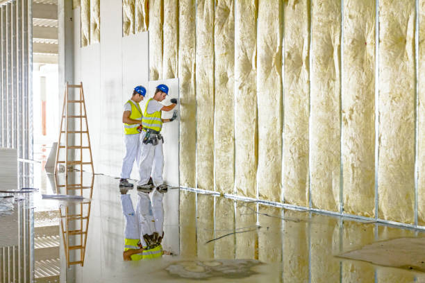 Best Blown-in Insulation in Chamberlayne, VA